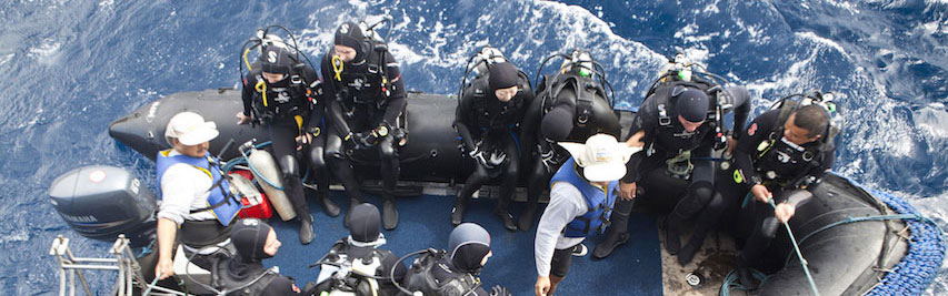 Galápagos, dive, cruise, Ecuador