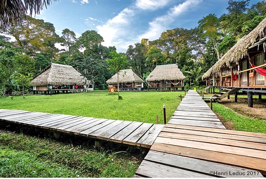 Amazon, Rainforest, Ecuador, Nicky Lodge