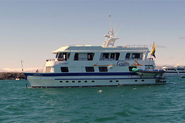 menu-cruise-confort