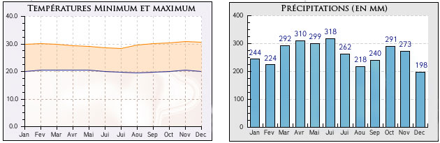 Ecuador, Amazon, Rainforest, Weather, Temperature