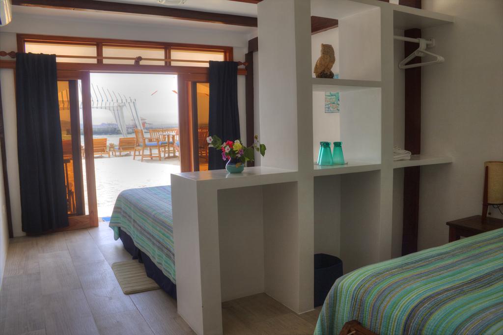 Hotel, isabela, beach, house, Galápagos, itk, standard, suite, garden, view
