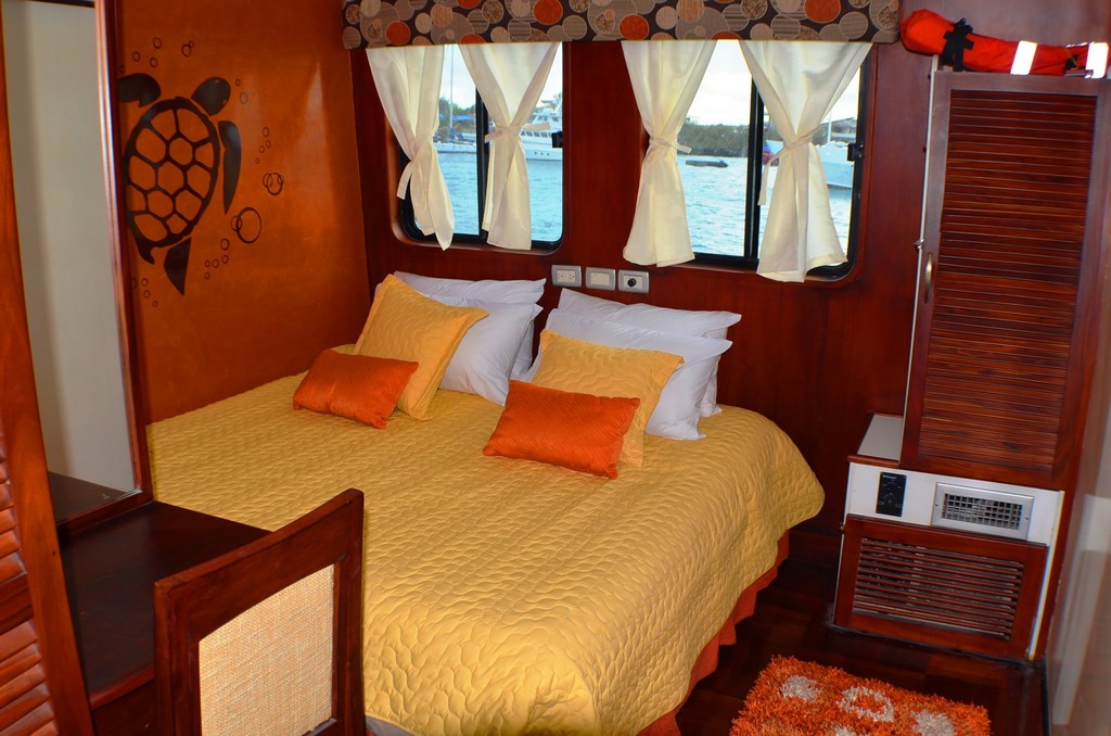 anahi, superior, cruise, galapagos, Double, bed, Cabin