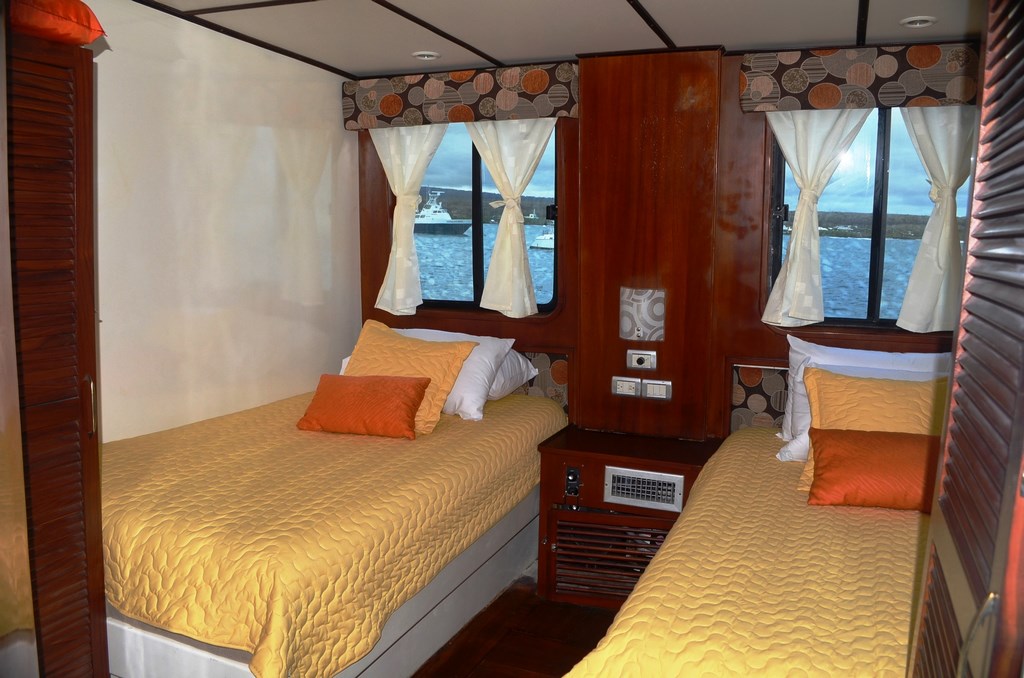 anahi, superior, cruise, galapagos, standard cabin