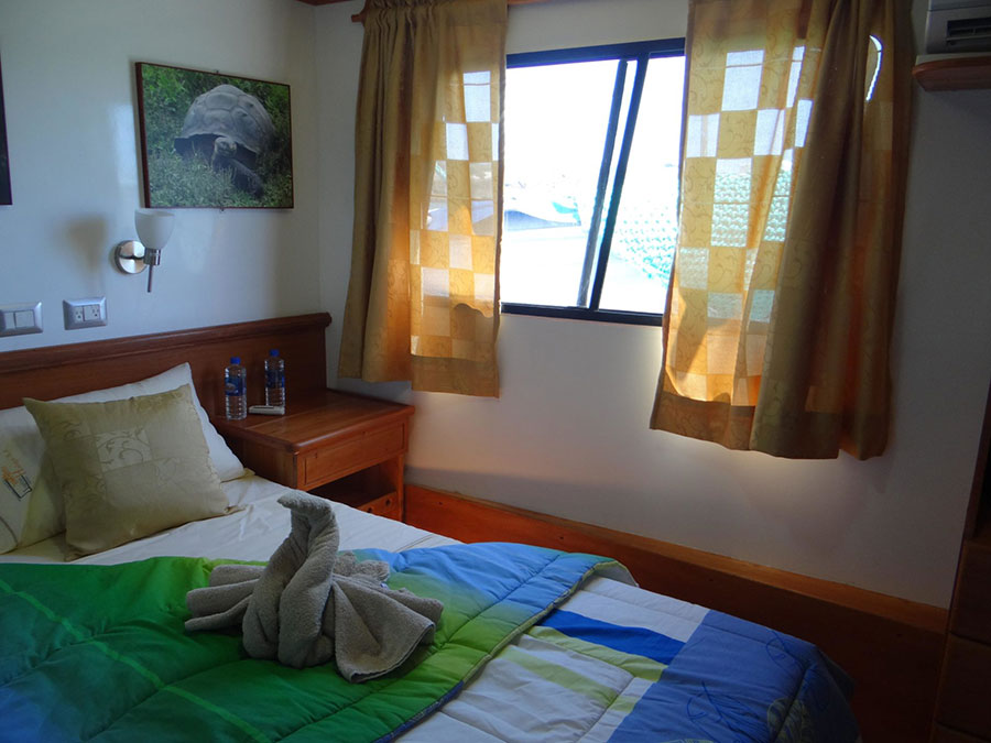 angelito, comfort, cruise, galapagos, Double, bed, Cabin