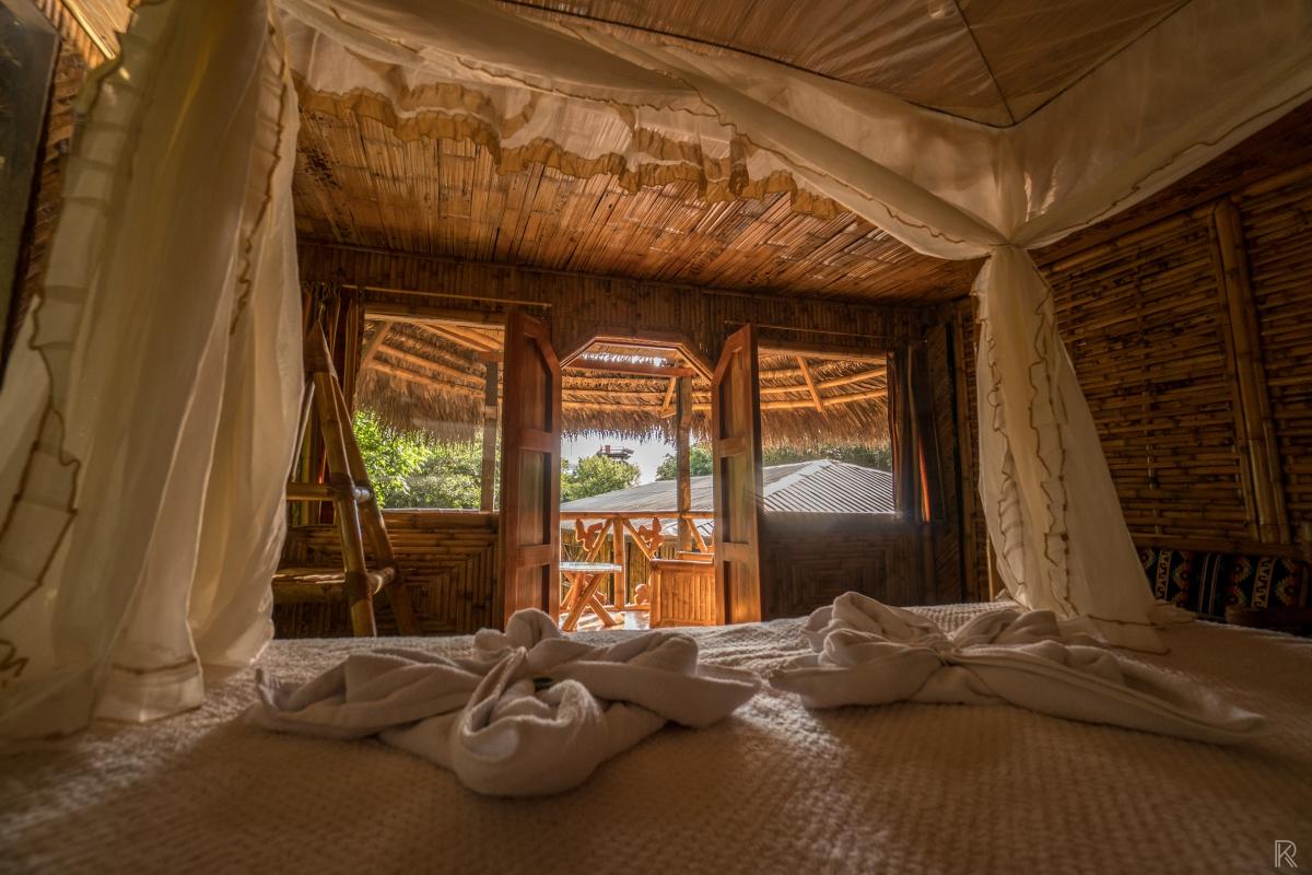 Bamboo, lodge, Ecuador, Amazon, Rainforest, Itk, Travel, Suite