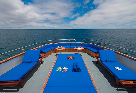 beluga, superior, cruise, galapagos, terrace