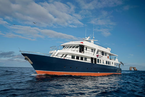 dive, category, cruise, galapagos, itk, selection