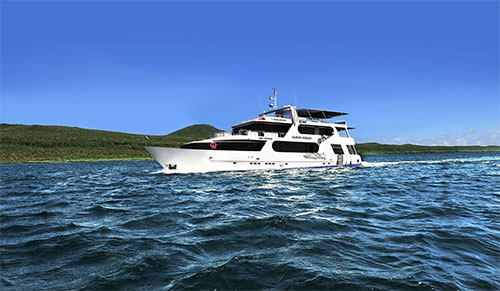 dive, category, cruise, galapagos, itk, selection