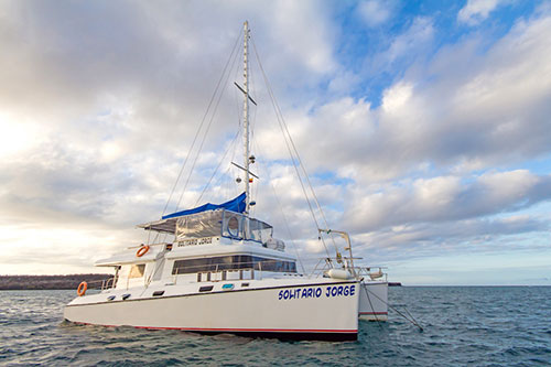 dive, category, cruise, galapagos, itk, selection