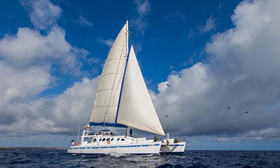 superior, category, cruise, galapagos, itk, selection