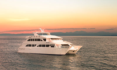 superior, category, cruise, galapagos, itk, selection