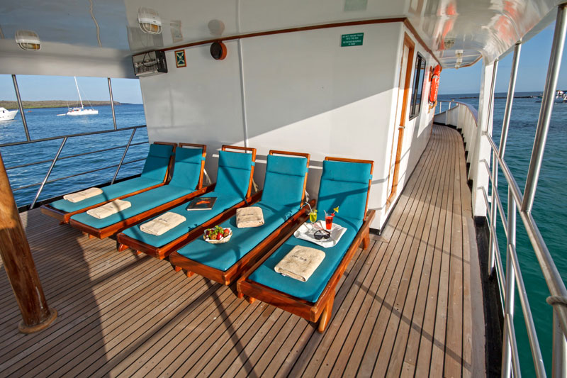 eden, comfort, cruise, galápagos, Upper, Deck