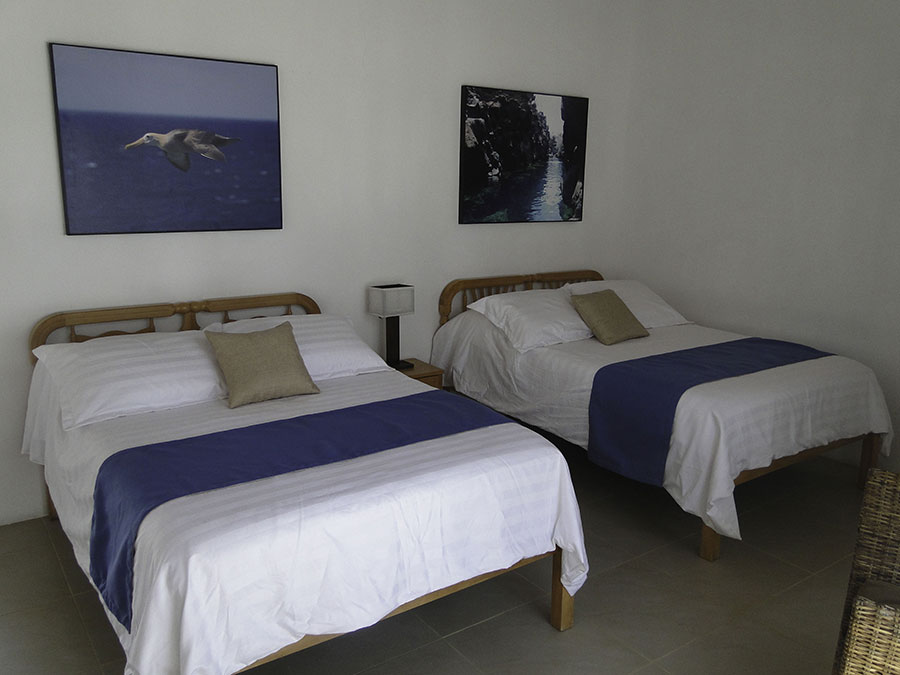 Hotel, albemarle, galápagos, itk, Suite, interior
