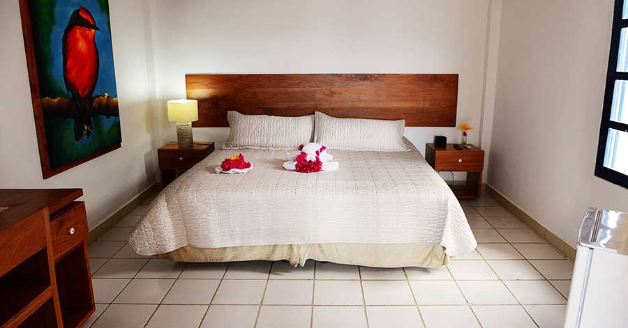 Hotel, Galápagos, fiesta, itk, double, bedroom