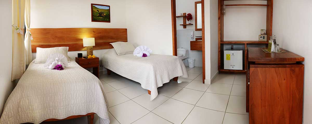 Hotel, Galápagos, fiesta, itk, twin room
