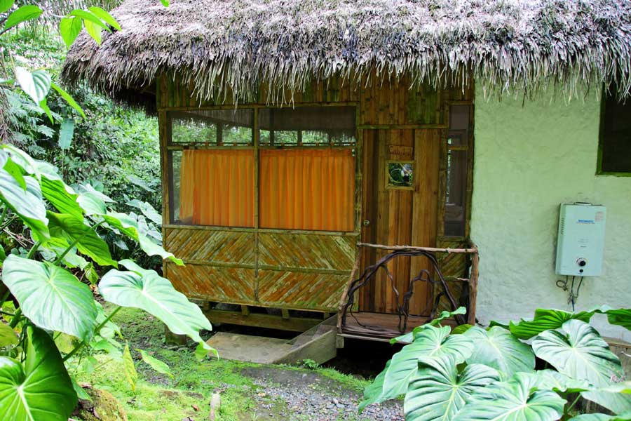 Liana Lodge, ITK, Travel, ecuador, Cabin, Outside, View