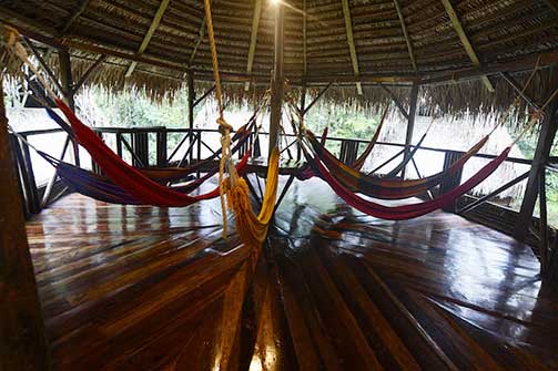 Jamu, Lodge, Amazon, Rainforest, Ecuador, hammocks