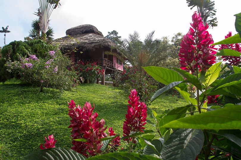 Lodge, Arasha, mindo, ecuador, itk, garden