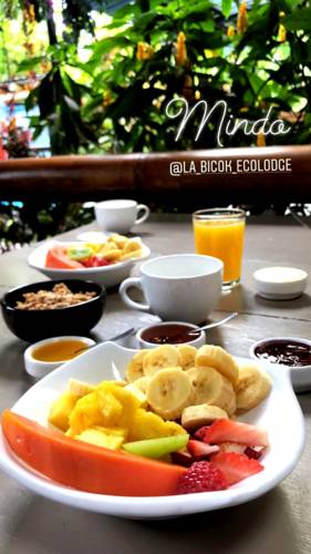 Lodge, bicok, mindo, ecuador, itk, breakfast