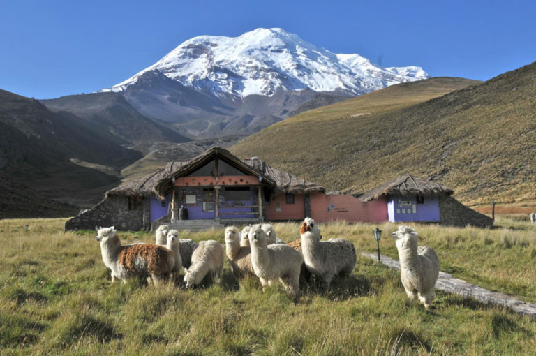 Hacienda, estrella, chimborazo, riobamba, ecuador, itk, Lamas