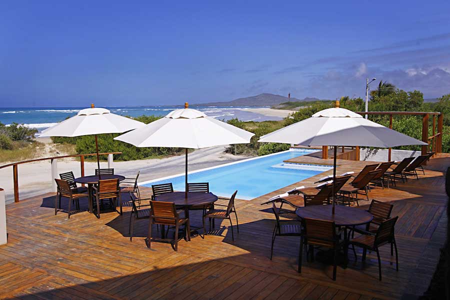 Hotel, iguana, crossing, galápagos, itk, swimming, pool