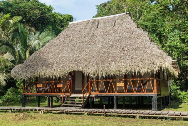 Nicky, Lodge, Amazon, Rainforest, Ecuador, Cabin, Exterior