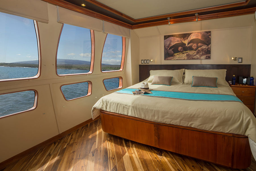 majestic, luxe, cruise, galapagos, Double, Bed, Cabin