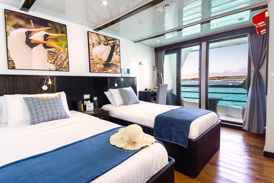 natural, paradise, luxe, cruise, galápagos, upper, deck