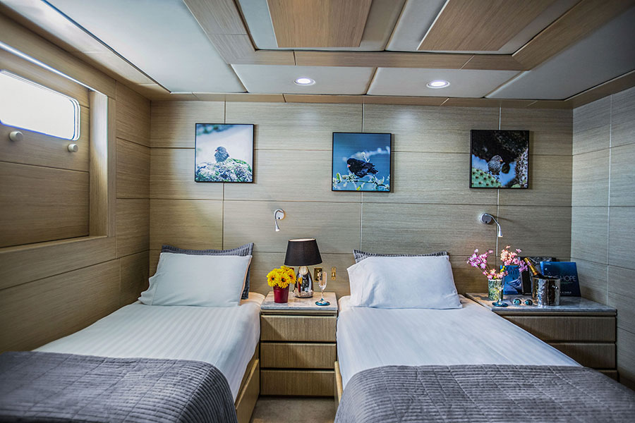 passion, luxe, cruise, galapagos, Twin, Cabin