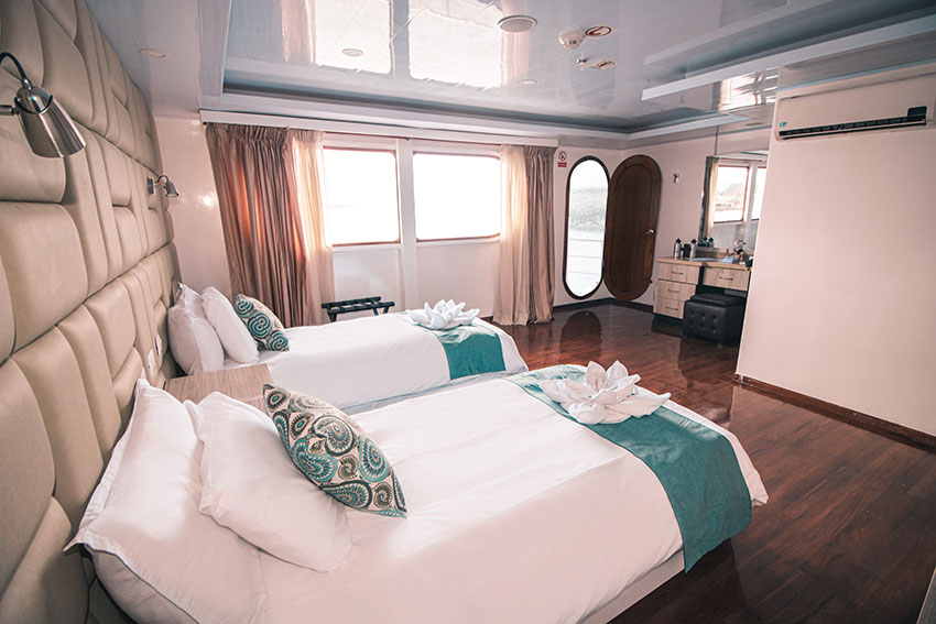 petrel, cruise, luxe, galapagos, Twin, cabin2