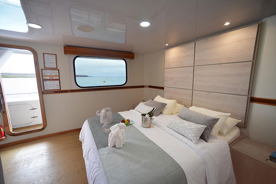 seaman, journey, superior, cruise, galápagos, double, bedroom