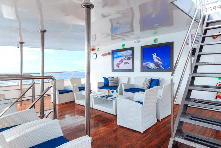 solaris, yacht, superior, cruise, galápagos, terrace2