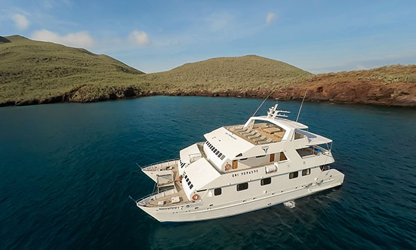 superior, category, cruise, galapagos, itk, selection