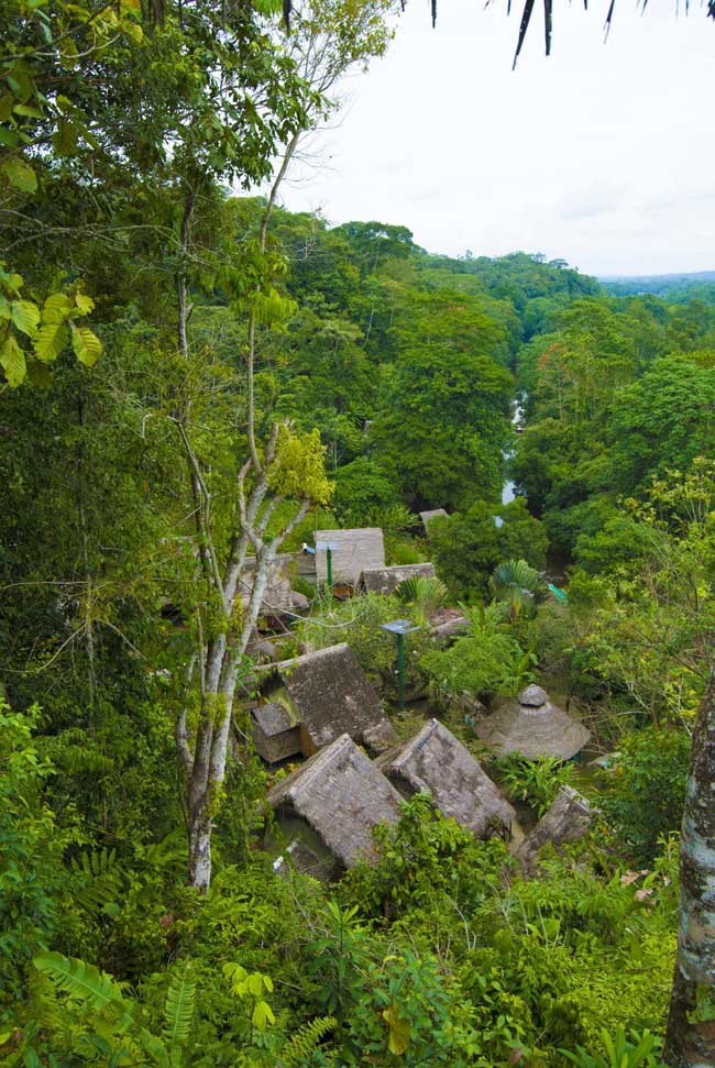 Yacuma, Lodge, Ecuador, Amazon, Rainforest, Aerial, View