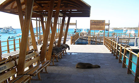 san, cristobal, island, itk, voyage, galápagos, archipelago, ecuador