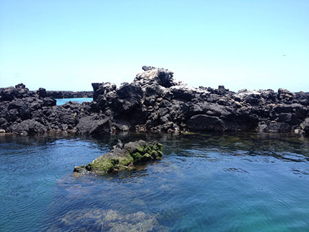 isabela, island, galápagos, archipelago, ecuador, itk, voyage, second, photo
