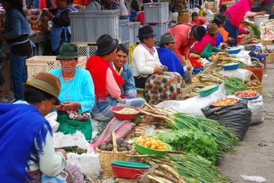indigenous, markets, itk, voyage, pujilí, market, ecuador