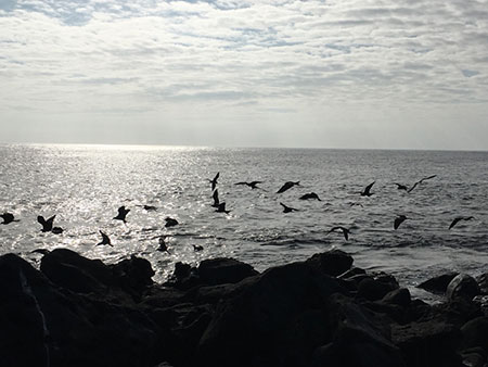 san, cristobal, island, itk, voyage, galápagos, archipelago, ecuador, view