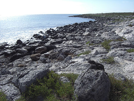 south, plaza, island, galápagos, archipelago, itk, voyage, ecuador, View