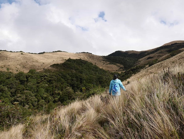 trekking, ecuador, itk, voyage, Leito, trekking, hike