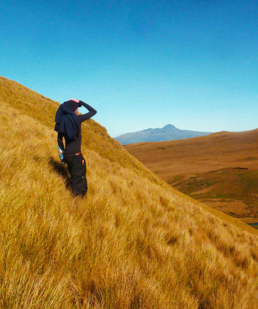 review, thank, you, itk, voyage, ecuador, home, page