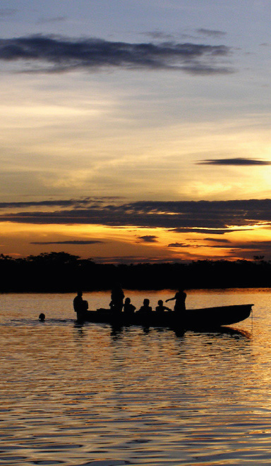 Amazon Rainforest - photo, Ecuador, page