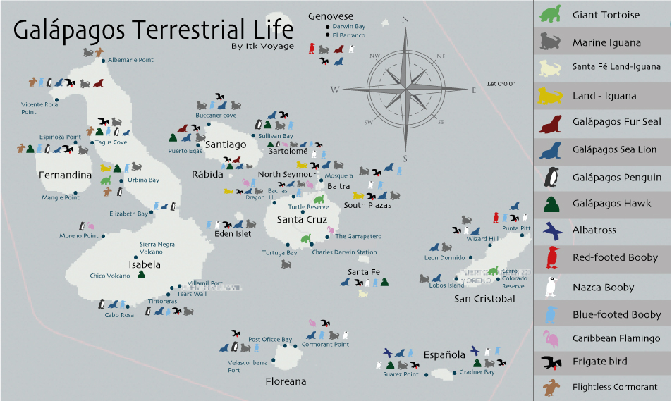 galapagos-cormorant galápagos, wildlife, itk, travel, ecuador, land, animals, map