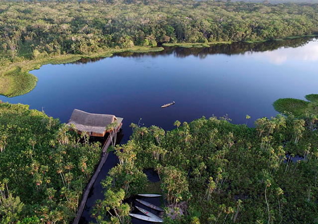 Tailor made travel to ecuador, amazon, rainforest