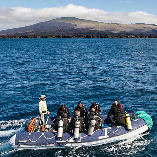 diving in the galapagos islands itk voyage