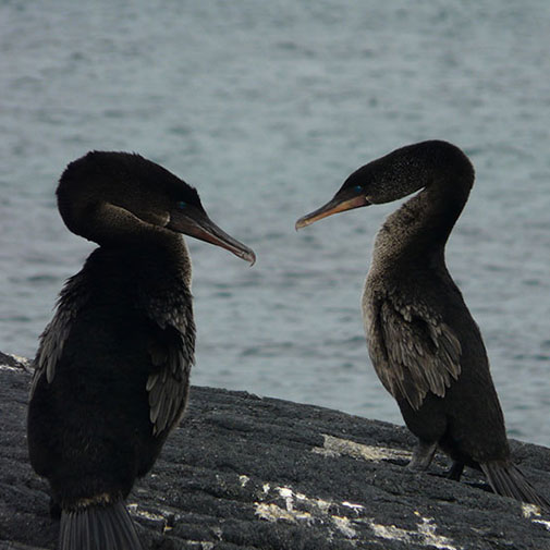 Galapagos 5 days tour San Cristobal itk voyage.