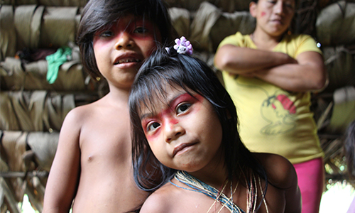 amazon rainforest encounters itk voyage