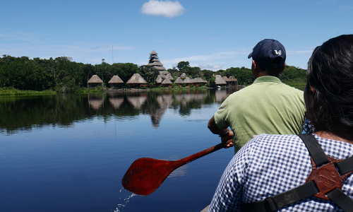charm in the amazon rainforest itk napo wildlife