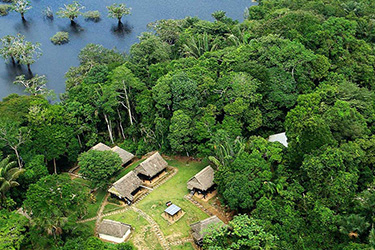 charm in the amazon rainforest itk travel