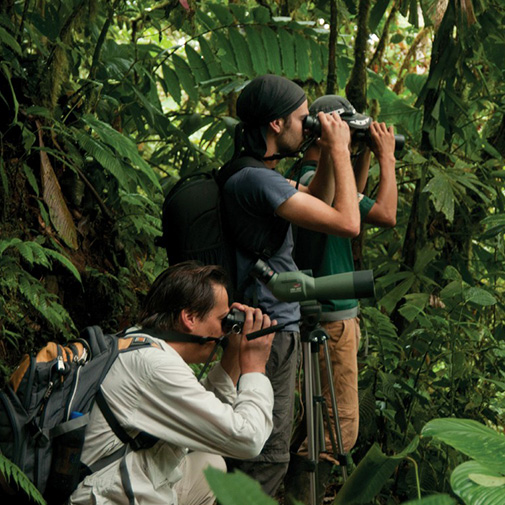 From the Cloud Forest to the Andes Tour in Ecuador